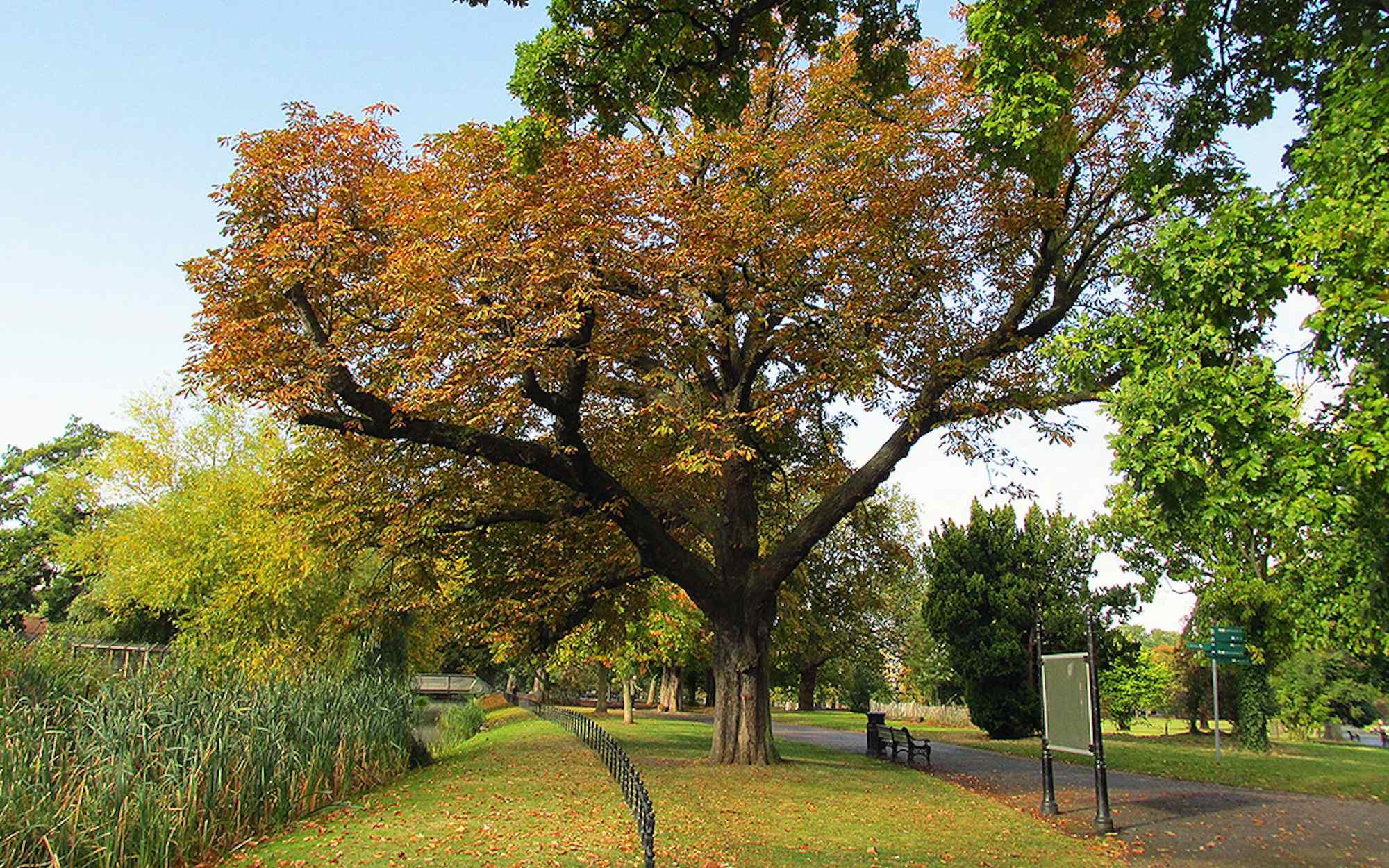 londres en otoño clissold park